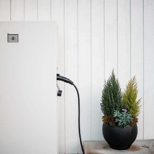 Batterilagring Närbild på Emaldo hembatteri i Täby – anslutet och installerat intill yttervägg med dekorativa växter.